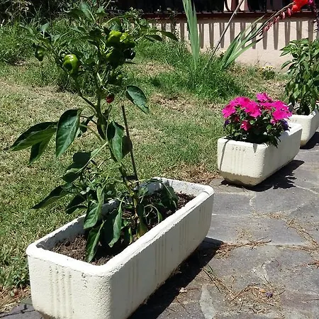 Villa Anna Monolocale Con Ingresso Indipendente *